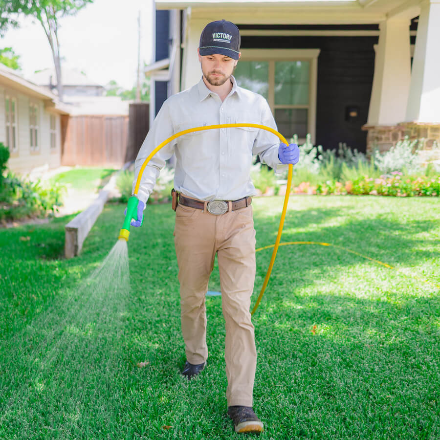 Lawn Treatments