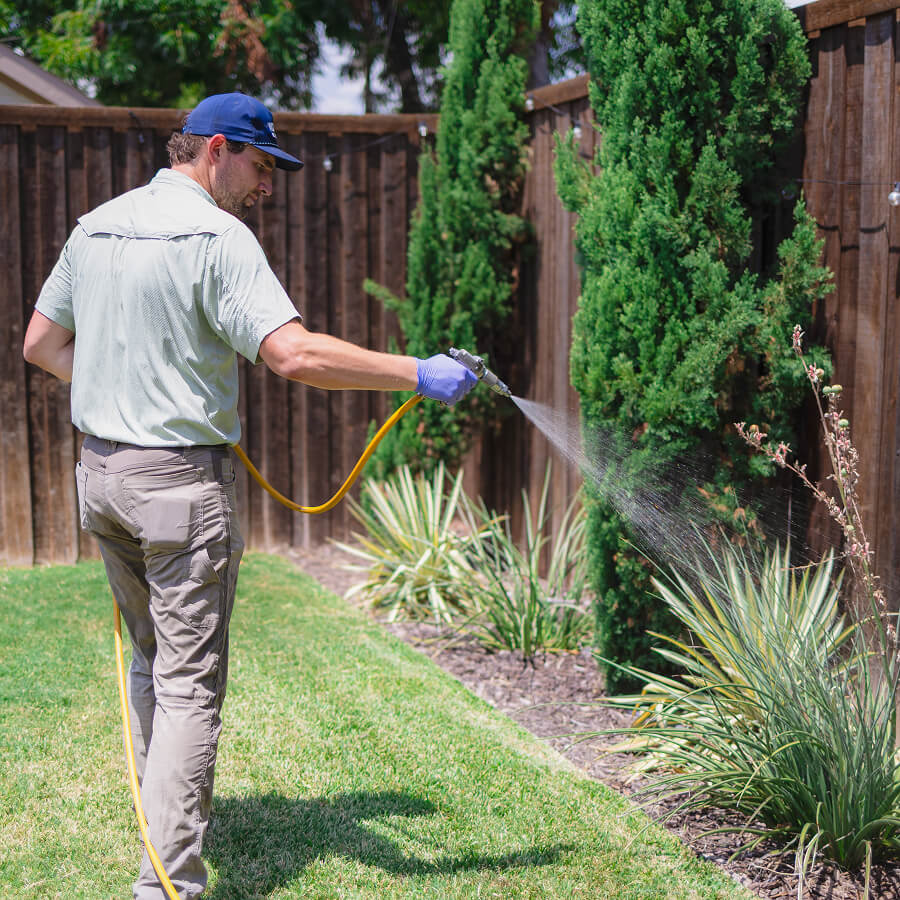Shrub Treatments