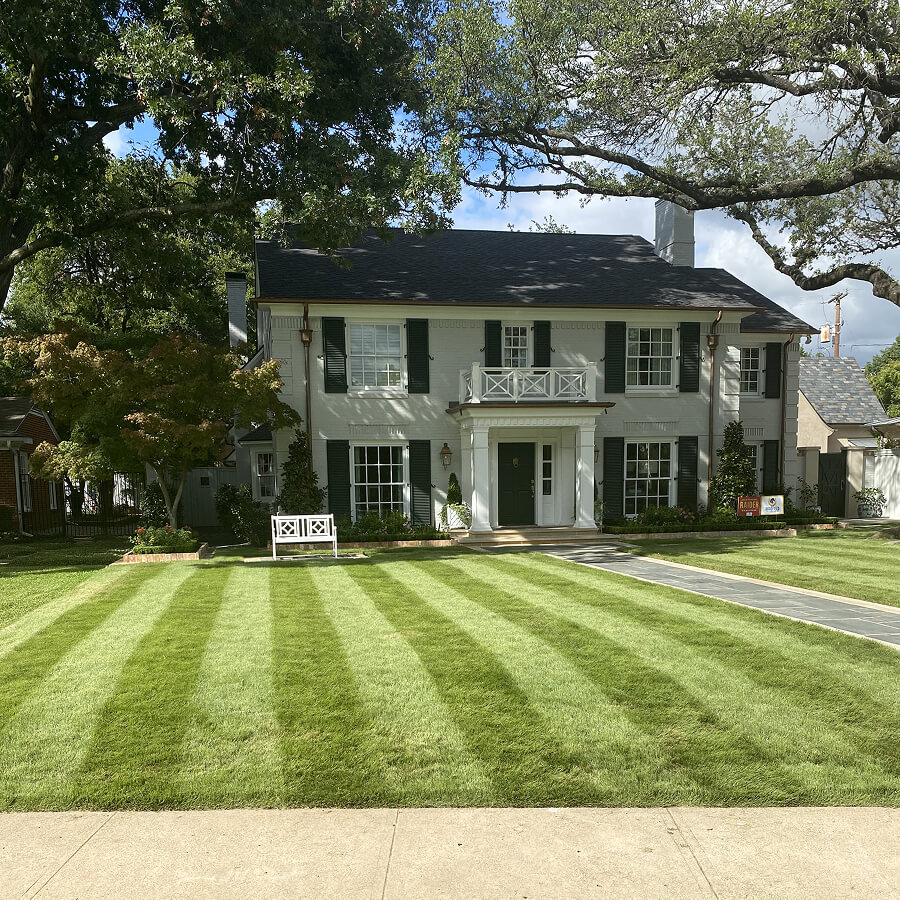 Lawn