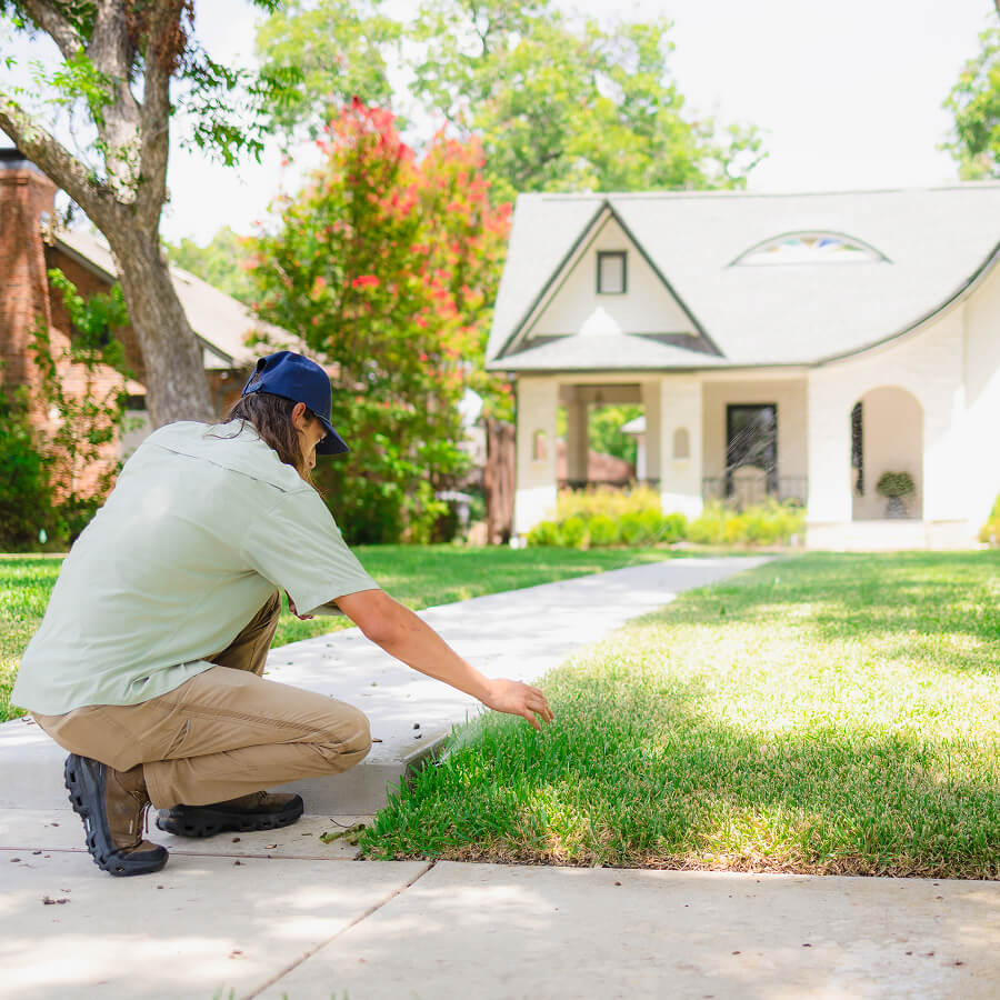 Irrigation Drainage Services