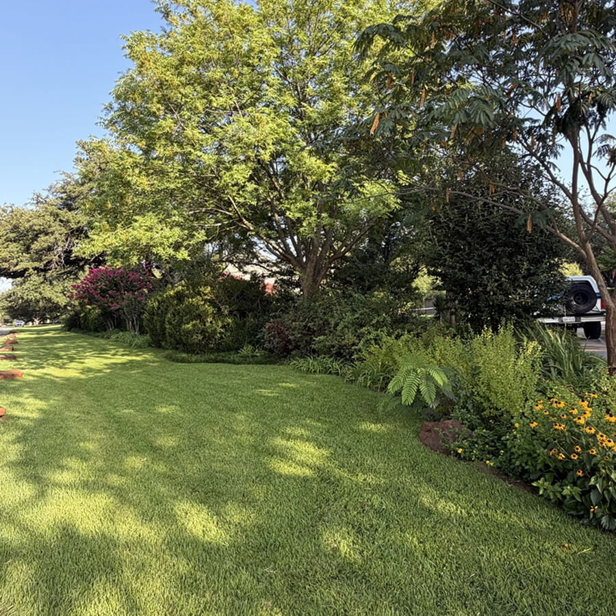 Shrub Treatment services