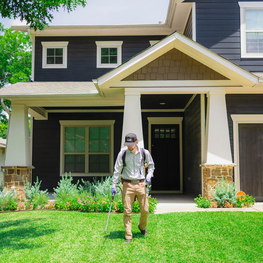 lawn treatment services